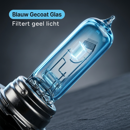 HaloVision Halogeen 5500K Wit – Filtert geel licht voor helder wit lichtbeeld