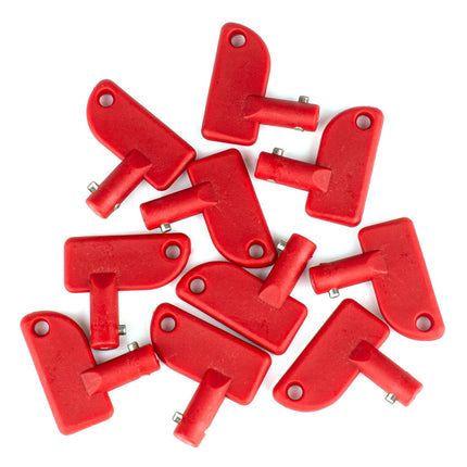 AMiO Main Switch Key Set 10 Stuks Reserve Sleutels voor Massa Schakelaar AMiO 1