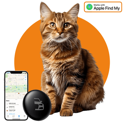 Smart Tag Bluetooth/GPS Kattentracker – Volg je Huisdier met Tracer Maps en Zoek Mijn App iOS/iPhone – Zwart