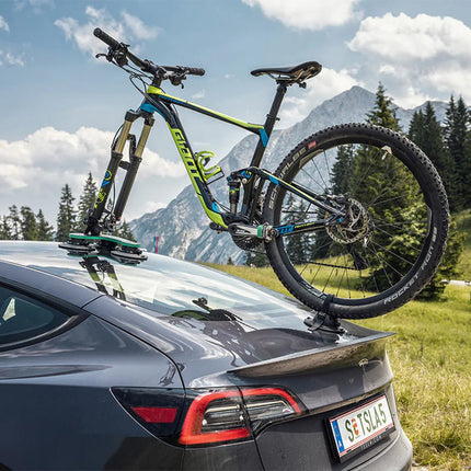 Tree Frog TreeFrog Pro 1 fietsendrager 4